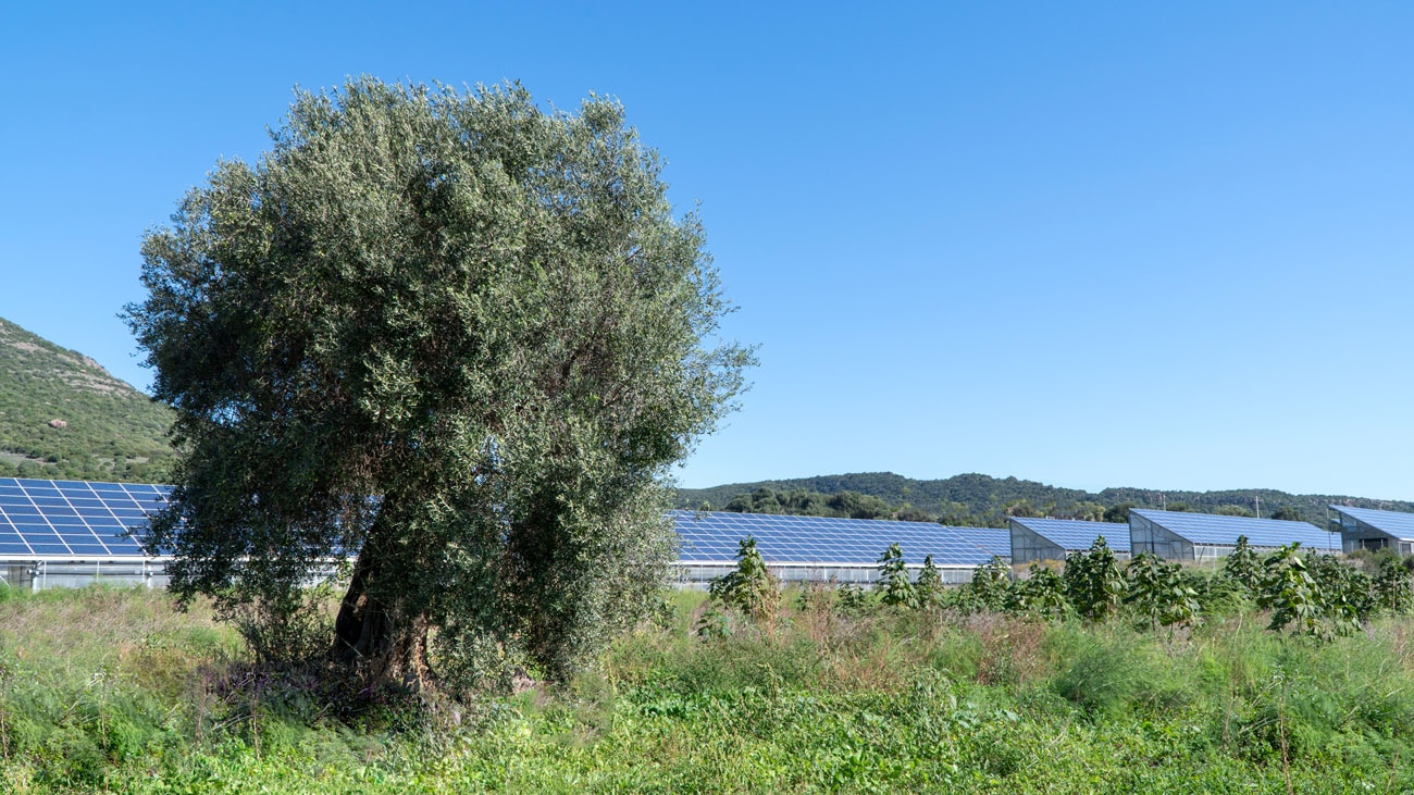 Siamo green, usiamo energia pulita